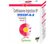 WOCEF-0.5 INJ.VET. 500MG