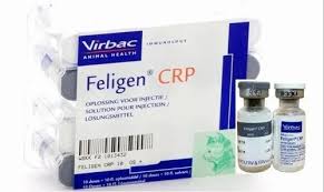 FELIGEN CRP INJ. VET. 1ML