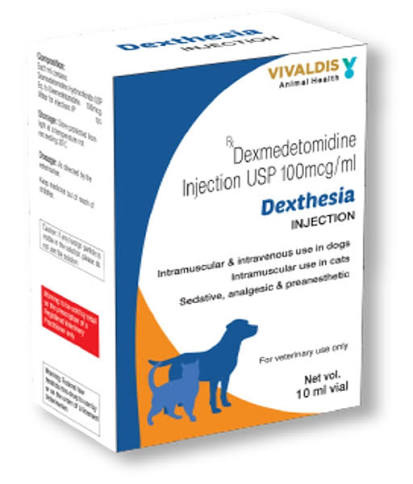 DEXTHESIA INJ. 10ML