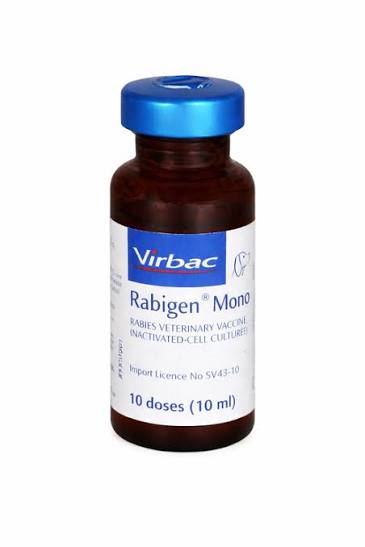 RABIGEN SINGLE INJ.VET. 1ML