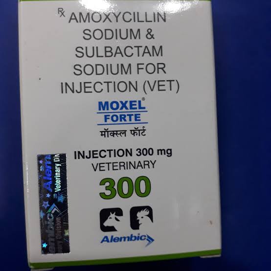 MOXEL FORTE INJ.PET. 300MG
