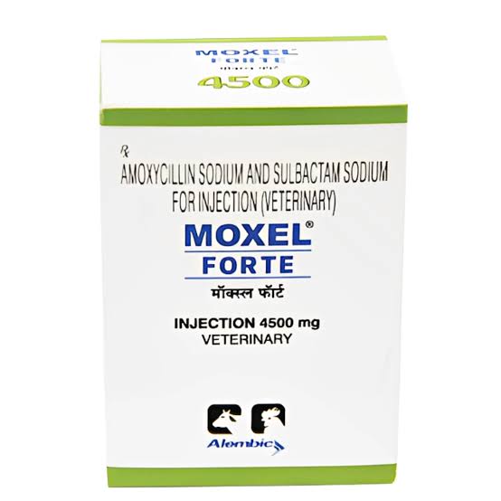 MOXEL FORTE INJECTION 1500 MG