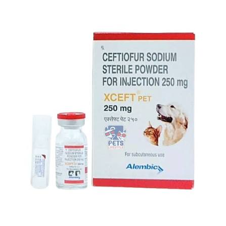 XCEFT 250MG INJ.PET. 1'S