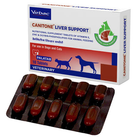 CANITONE LEVER SUPPORT 10'S