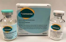 CONVENIA 80MG 1 VAIL