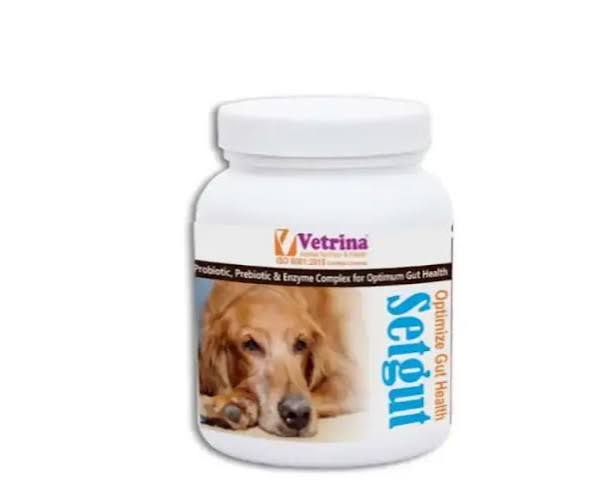 SETGUT POW.VET. 50GM