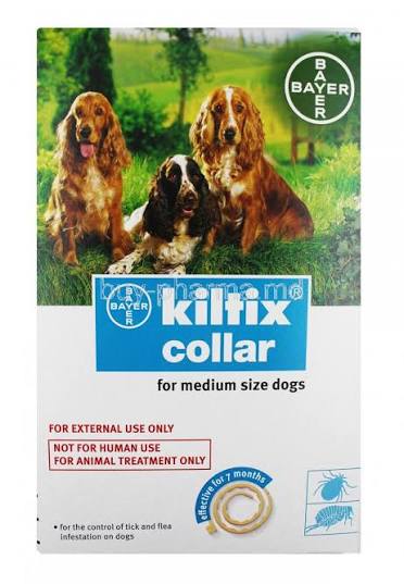 KILTIX COLLAR MEDIUM 1