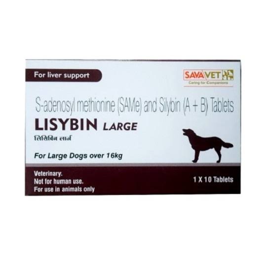LISYBIN LARGE TABLETS VET 10'S