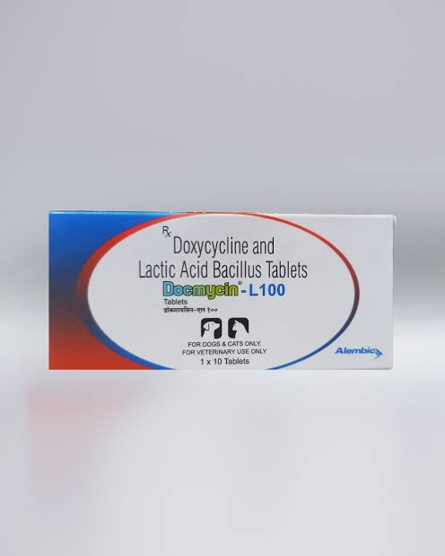 DOCMYCIN-L 100MG TABLETS 10'S