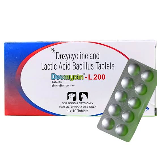 DOCMYCIN-L 200MG TABLETS 10'S