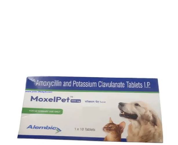 MOXEL PET 500MG TAB 10'S