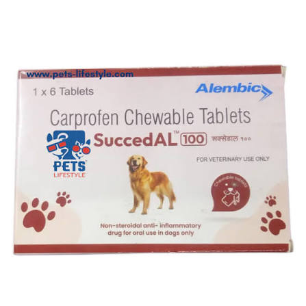 SUCCED AL CHEWABLE TAB.100MG 6'S