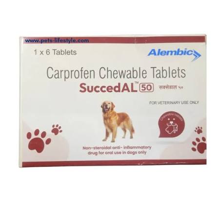 SUCCED AL CHEWABLE TAB.50MG 6'S