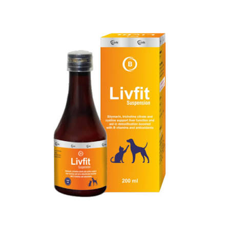 LIVFIT PET SYRUP 200ML
